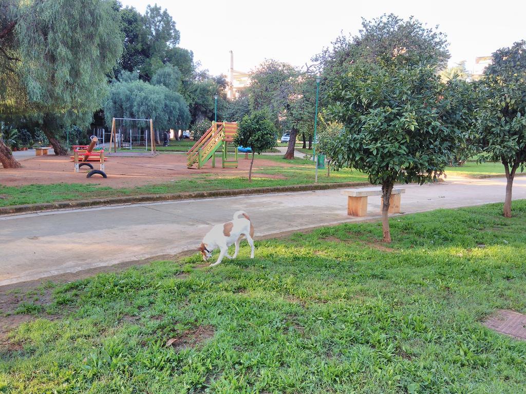 120 Rodionoff Downtown - Connection With Airport And Mondello Beach Palermo Eksteriør bilde
